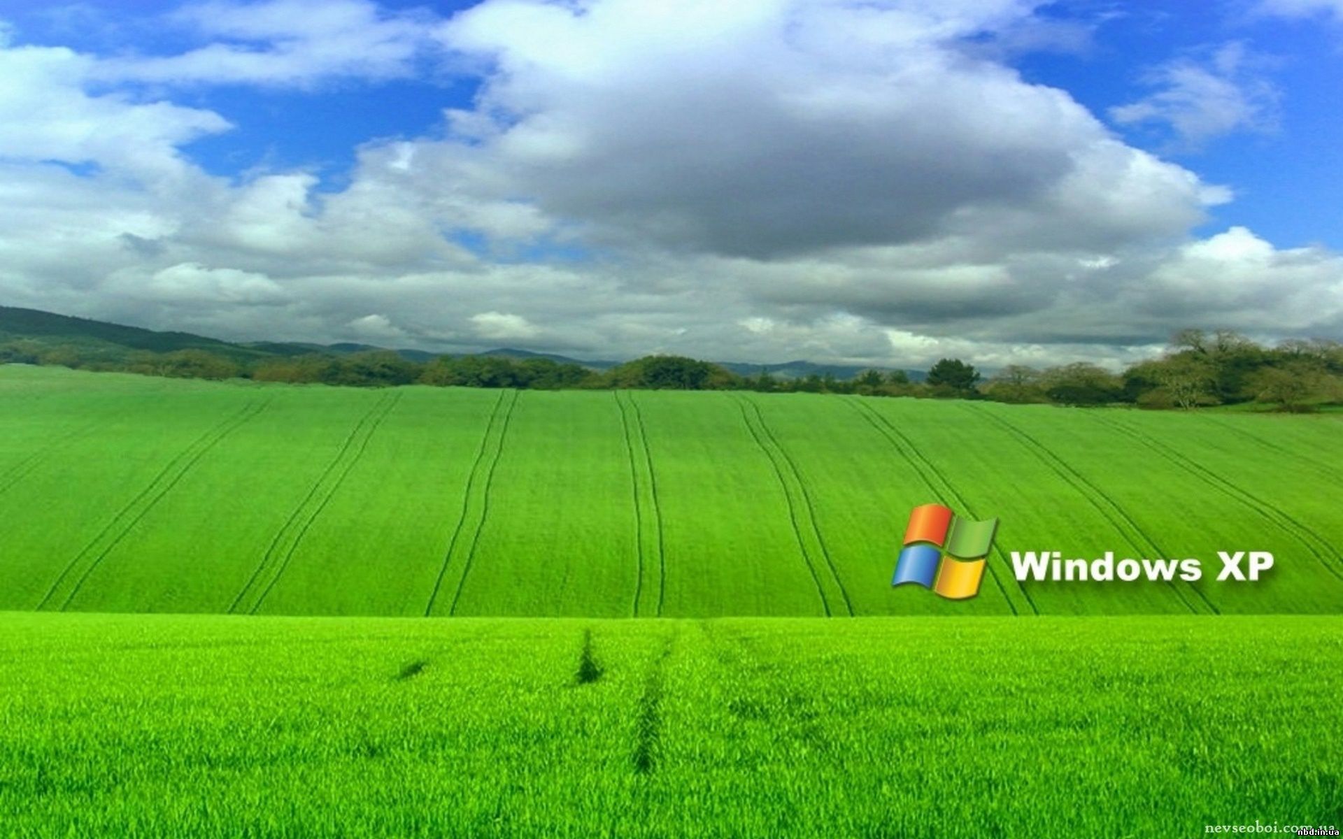 Техническая поддержка Windows XP в России продлена до декабря
