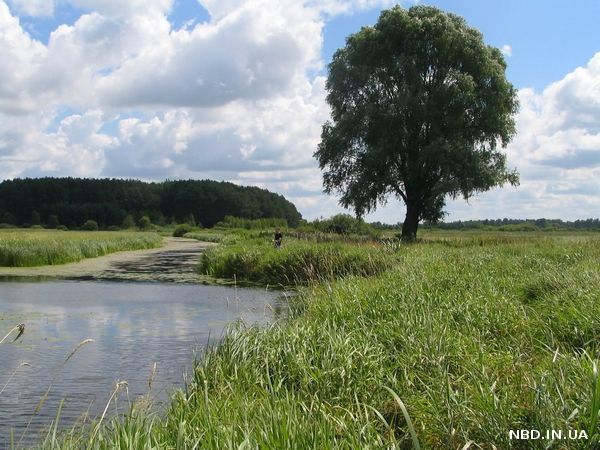 В Черниговской области закрыт пункт пропуска на границе с РФ